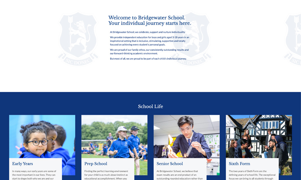 Custom WordPress theme design